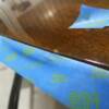 Building up coats of varnish to fill in a ding